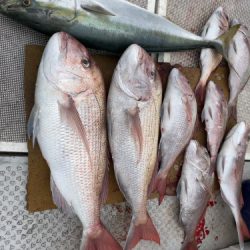 釣船 浦島太郎 釣果