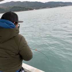 幸吉丸 釣果