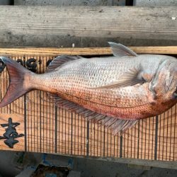 幸吉丸 釣果