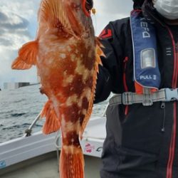 遊漁船　ニライカナイ 釣果