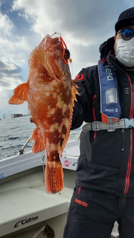 遊漁船　ニライカナイ 釣果