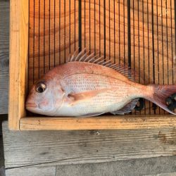 幸吉丸 釣果