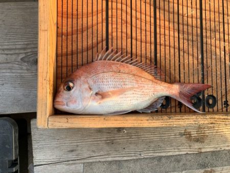 幸吉丸 釣果