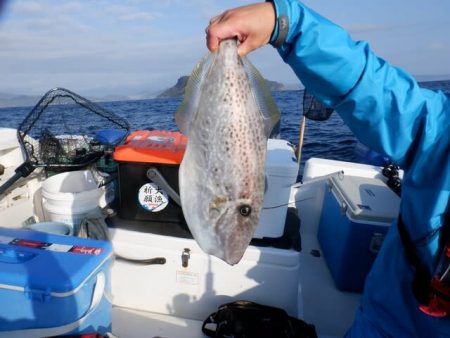 開進丸 釣果