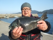 春日丸 釣果