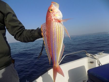 フィッシングボート空風（そらかぜ） 釣果