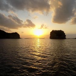 フィッシングボート空風（そらかぜ） 釣果