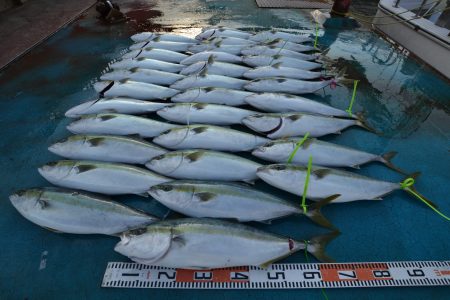 アジアマリンサービス 釣果