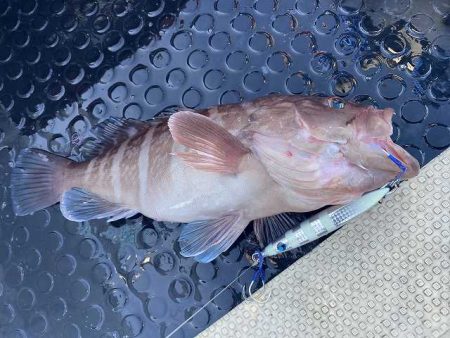 三吉丸 釣果