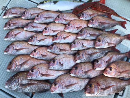 星隆丸 釣果