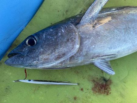 三吉丸 釣果