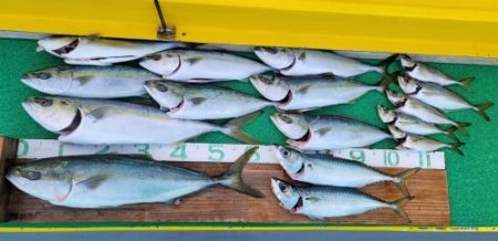 火遠理丸（ほおりまる） 釣果