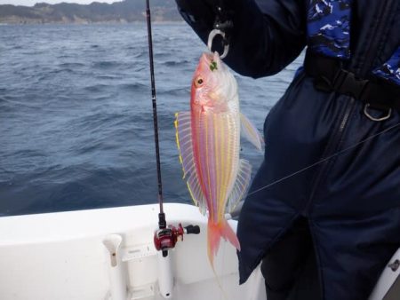 開進丸 釣果