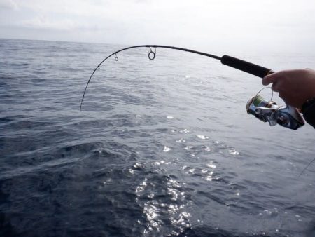 開進丸 釣果