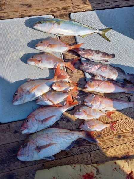 小海途 釣果