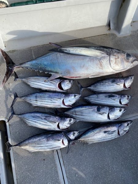 へいみつ丸 釣果