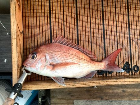 幸吉丸 釣果