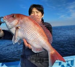 東京湾探釣隊ぼっち 釣果