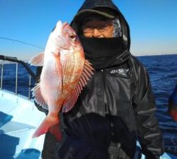 東京湾探釣隊ぼっち 釣果