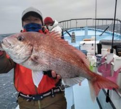 東京湾探釣隊ぼっち 釣果