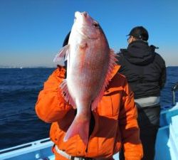 東京湾探釣隊ぼっち 釣果