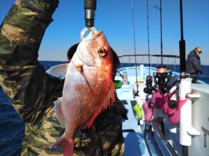 東京湾探釣隊ぼっち 釣果