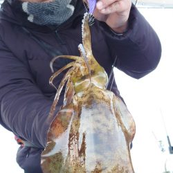 シースナイパー海龍 釣果