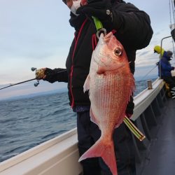 だて丸 釣果