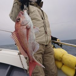 だて丸 釣果