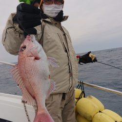 だて丸 釣果