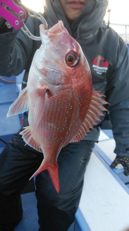 新幸丸 釣果