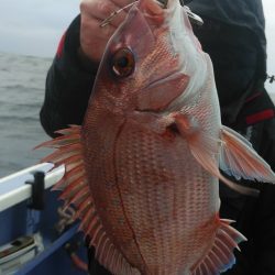 新幸丸 釣果