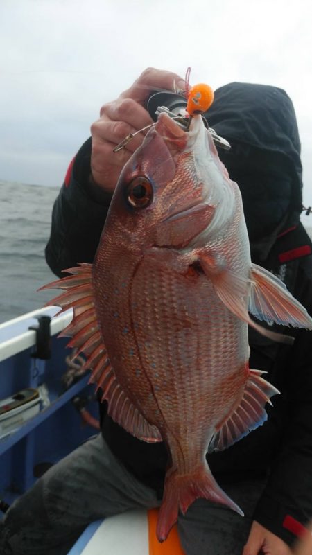 新幸丸 釣果