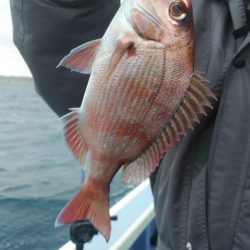 新幸丸 釣果