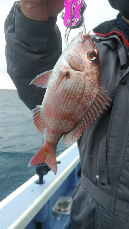 新幸丸 釣果