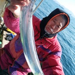 小島丸 釣果