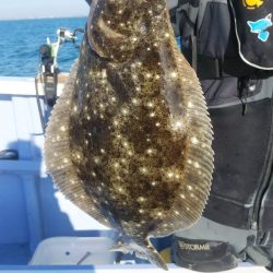 新幸丸 釣果