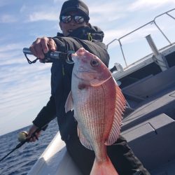 だて丸 釣果