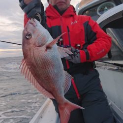 だて丸 釣果