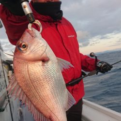 だて丸 釣果