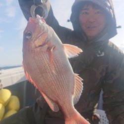 だて丸 釣果