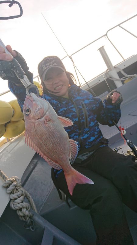 だて丸 釣果