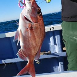 新幸丸 釣果