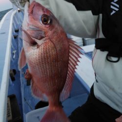 新幸丸 釣果