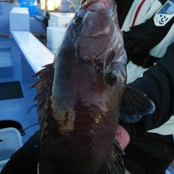 新幸丸 釣果