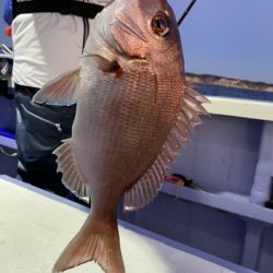 新幸丸 釣果