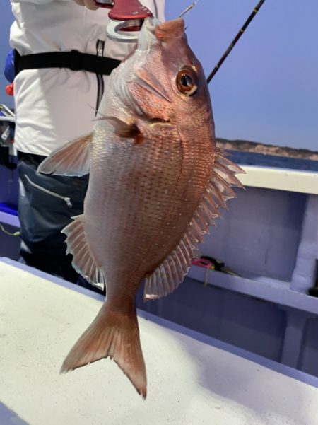 新幸丸 釣果