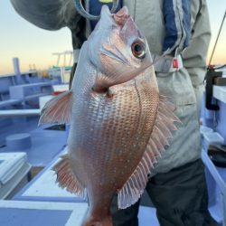 新幸丸 釣果