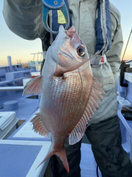 新幸丸 釣果