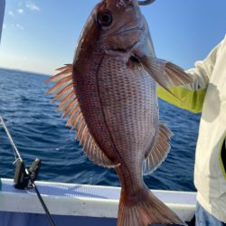 新幸丸 釣果